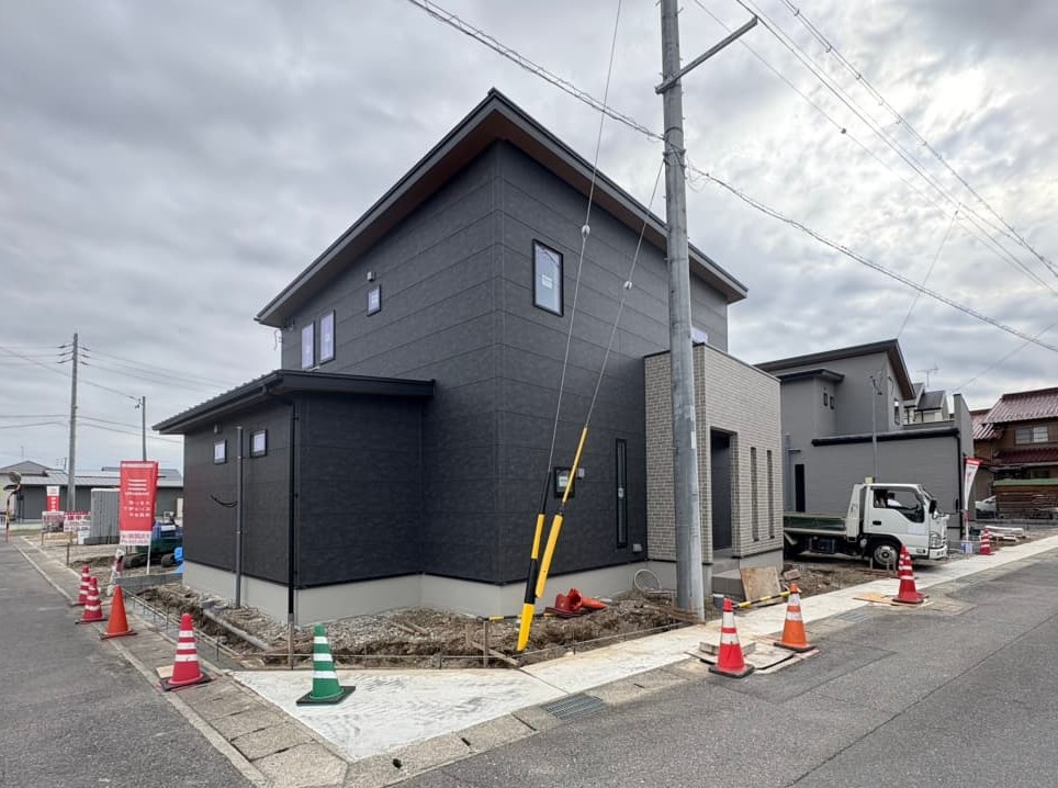 撮影：2025/11/12/