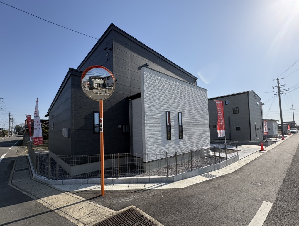 撮影：2026/01/18/