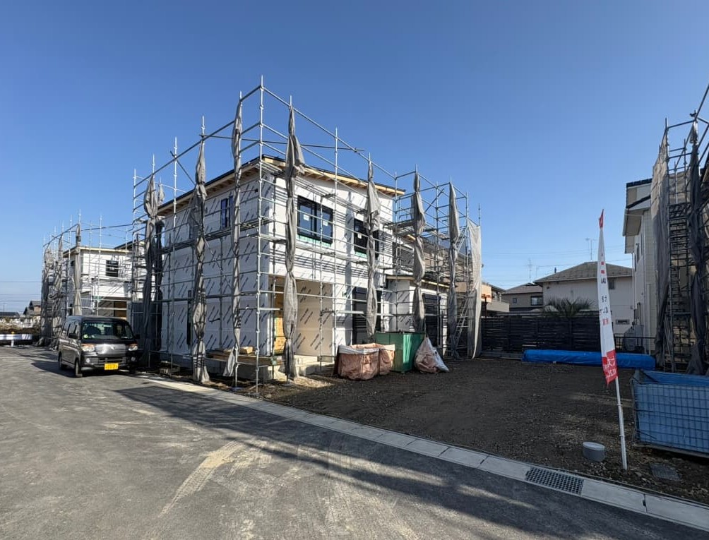 撮影：2026/01/17/