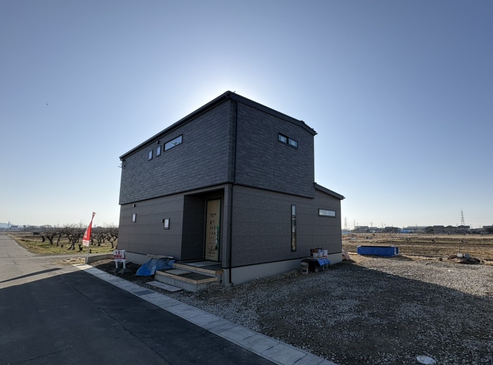 撮影：2026/02/21/