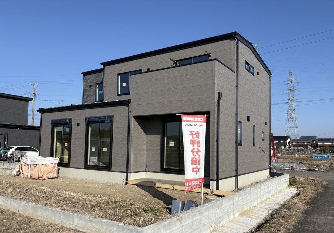 撮影：2026/02/21/