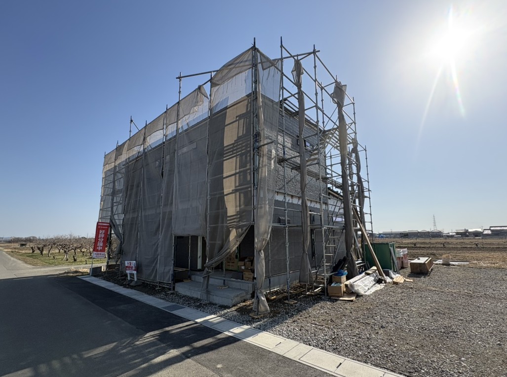 撮影：2026/01/18/