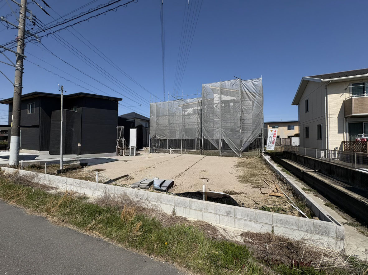 撮影：2026/03/15/