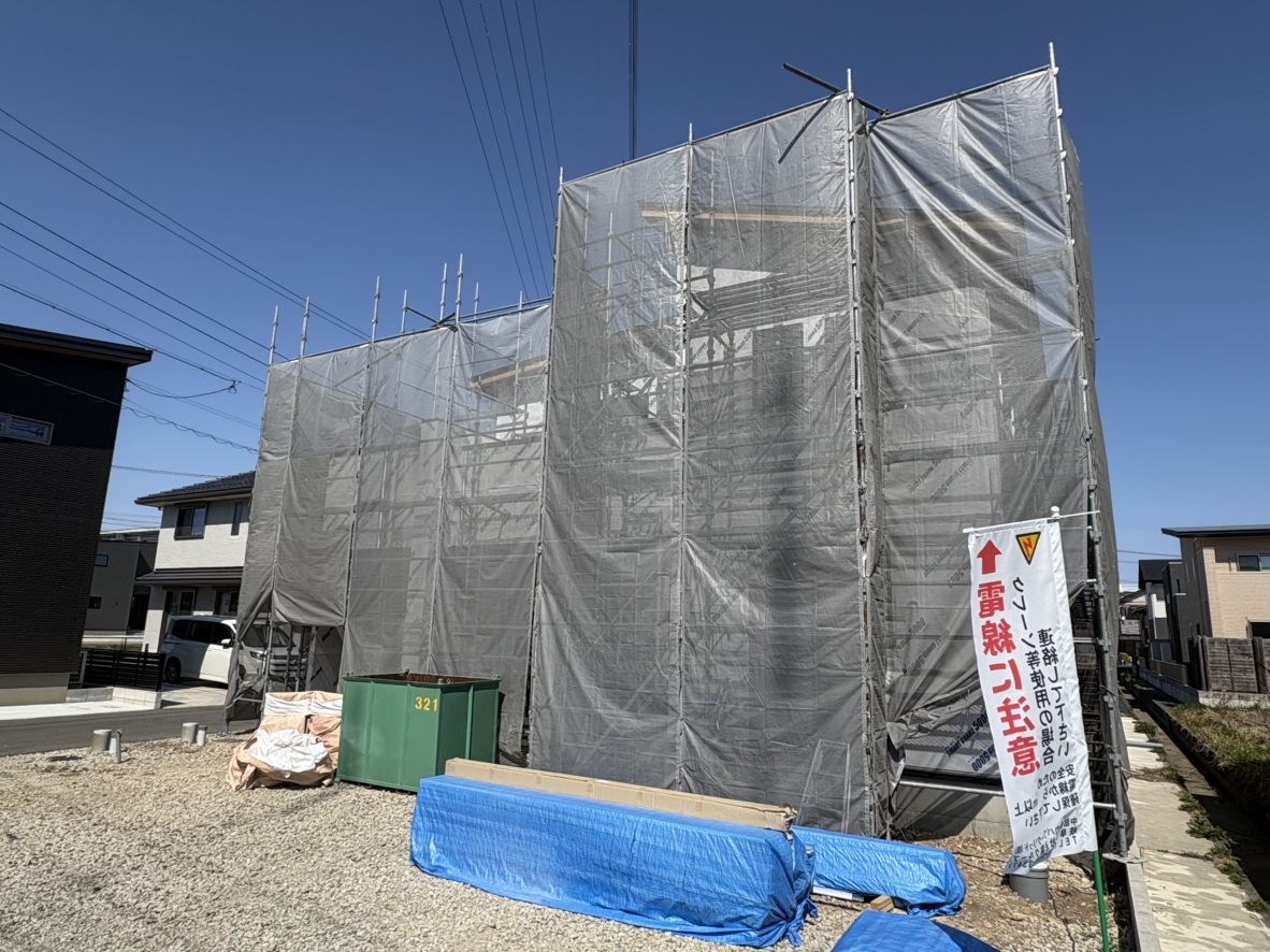 撮影：2026/03/15/