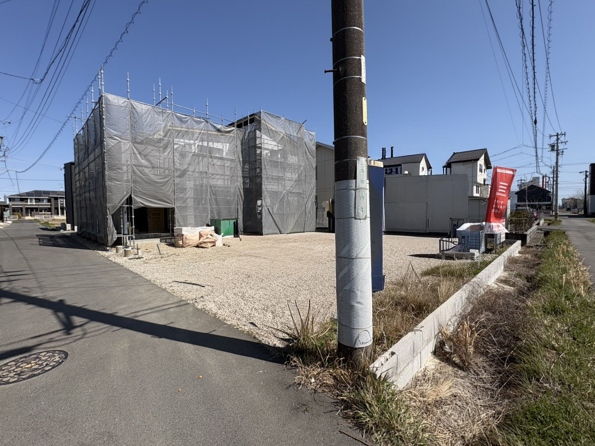 撮影：2026/03/15/